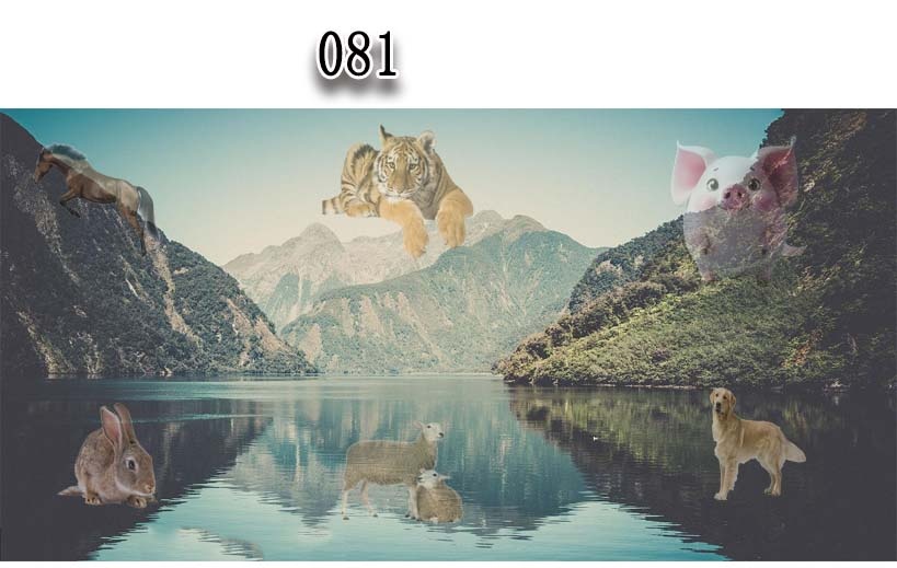 081期看图找生肖[图]